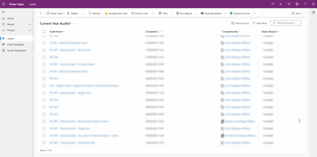 Audit View